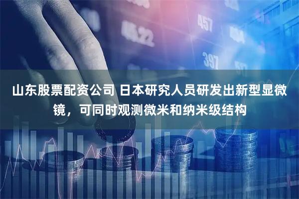 山东股票配资公司 日本研究人员研发出新型显微镜，可同时观测微米和纳米级结构