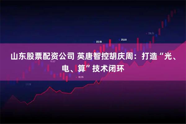 山东股票配资公司 英唐智控胡庆周：打造“光、电、算”技术闭环