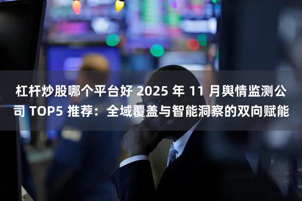 杠杆炒股哪个平台好 2025 年 11 月舆情监测公司 TOP5 推荐：全域覆盖与智能洞察的双向赋能